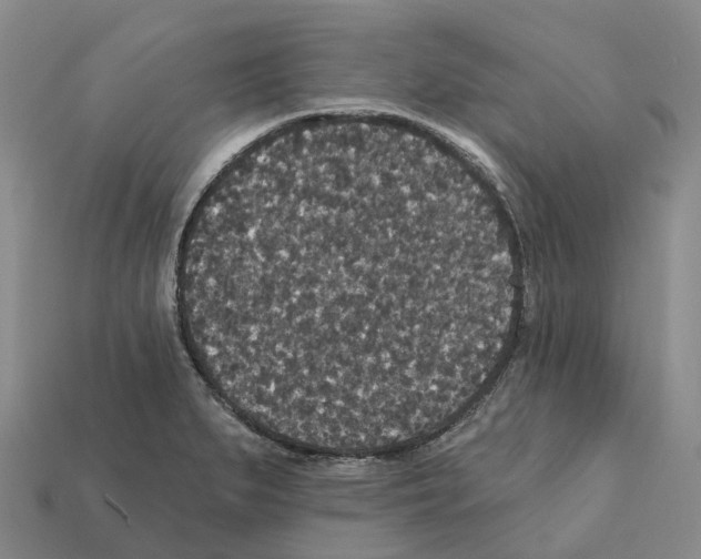 X0000112431279200909251529