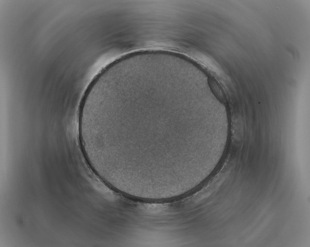X0000112431280200909251529