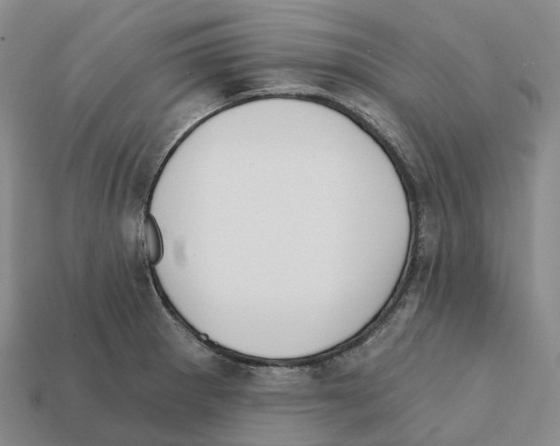 X0000112431281200909251529