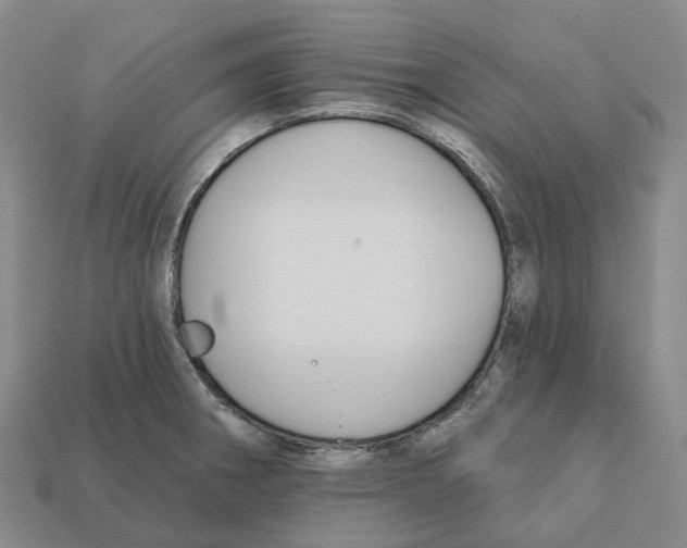 X0000112431282200909251529
