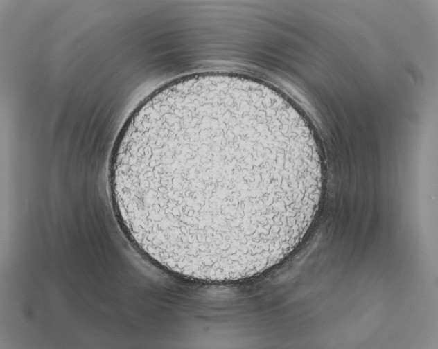 X0000112431283200909251529