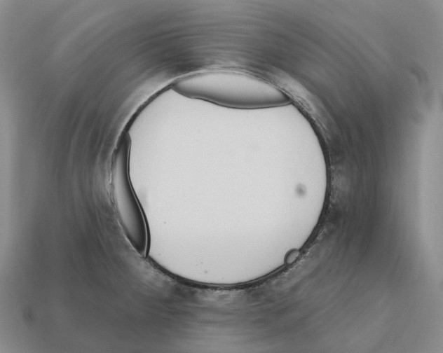 X0000112431284200909251529