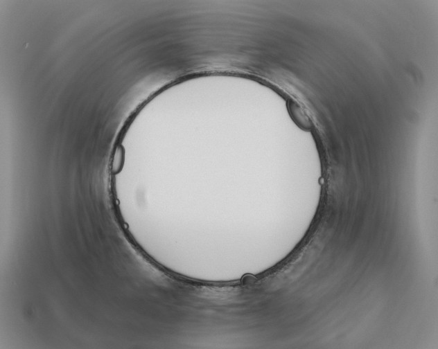 X0000112431285200909251529