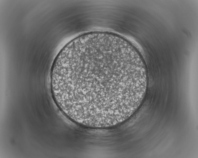 X0000112431287200909251529