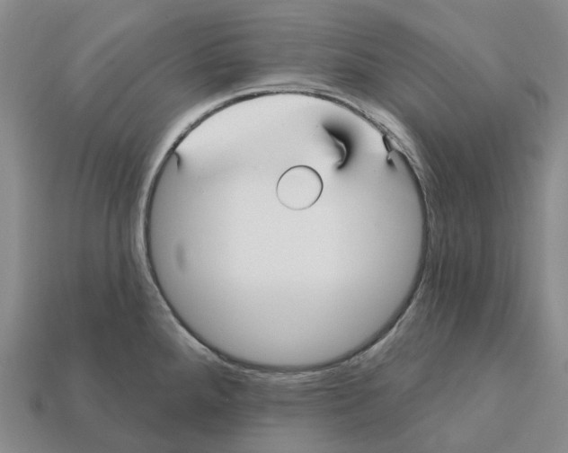 X0000112431288200909251529