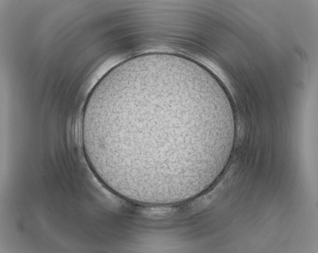 X0000112431290200909251529