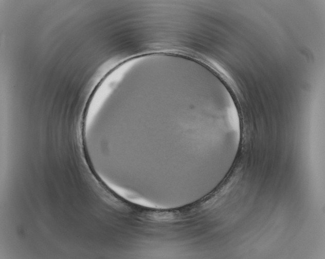 X0000112431291200909251529