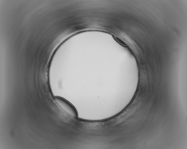 X0000112431292200909251529