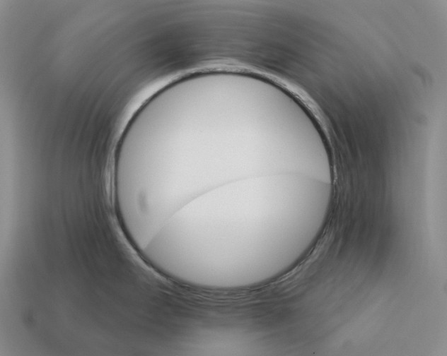 X0000112431295200909251529