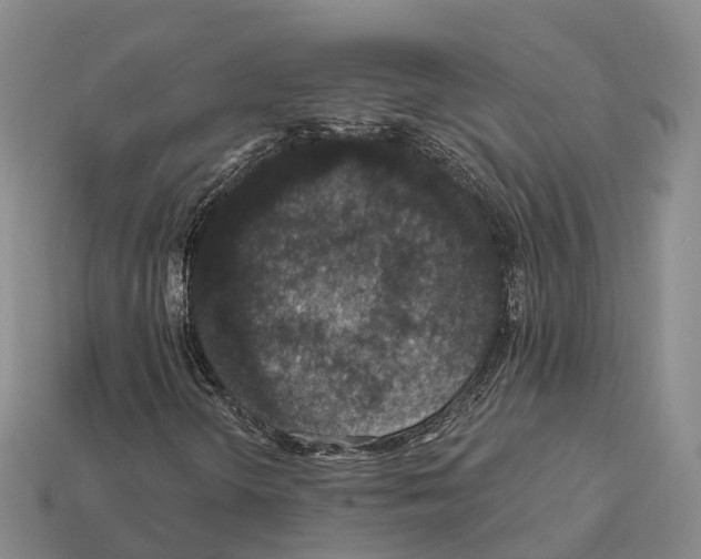 X0000112431298200909251528