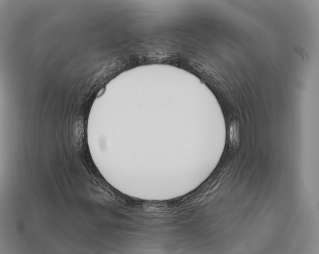 X0000112431299200909251528