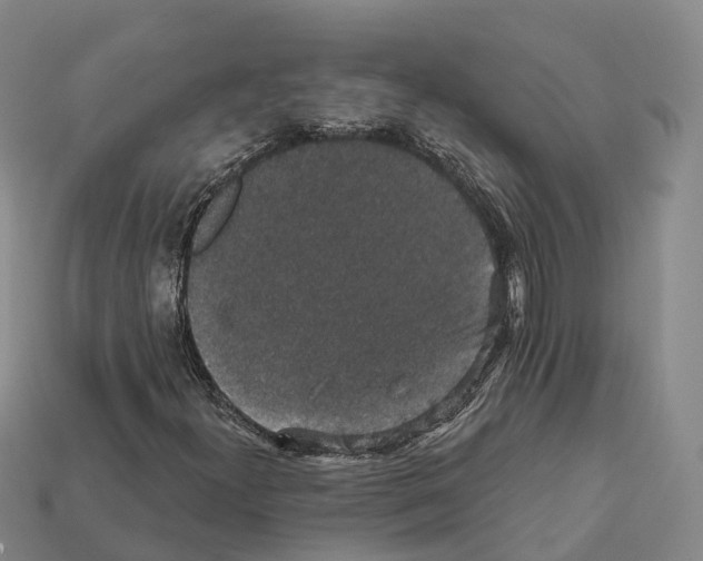 X0000112431300200909251528
