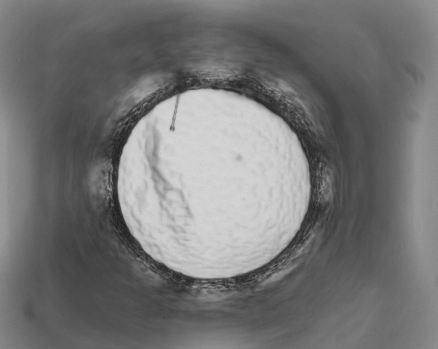 X0000112431301200909251528