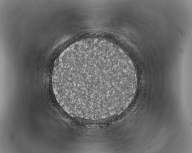 X0000112431302200909251528