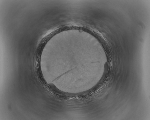 X0000112431303200909251528
