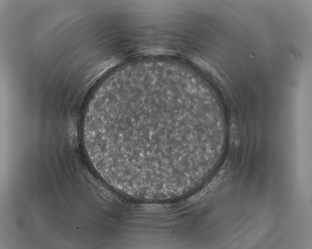 X0000112431305200909251528