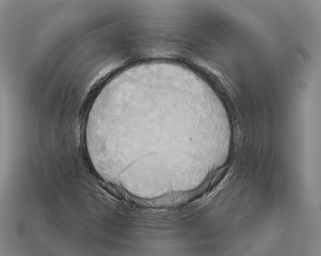 X0000112431306200909251528