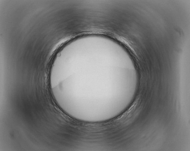 X0000112431307200909251528