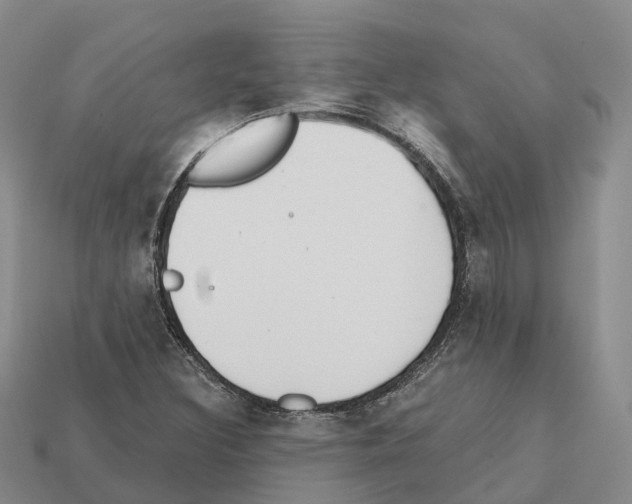 X0000112431308200909251528