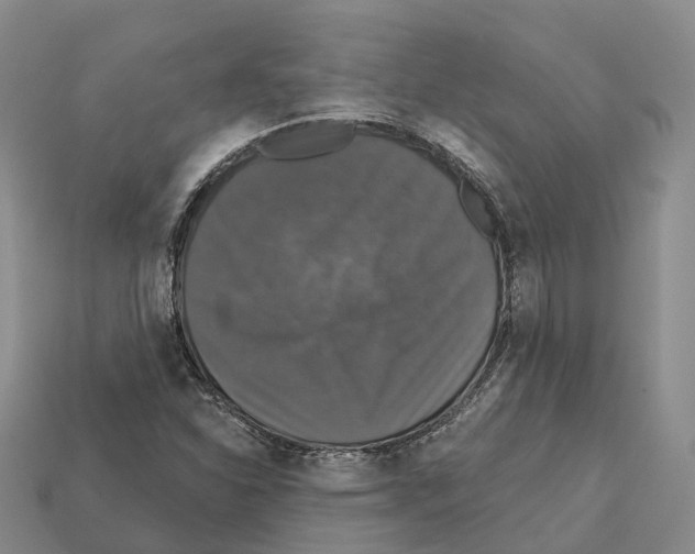 X0000112431310200909251528