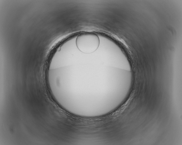 X0000112431311200909251528