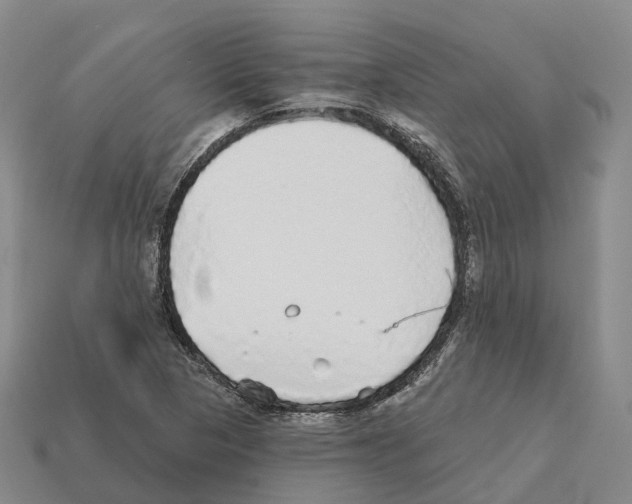 X0000112431313200909251528