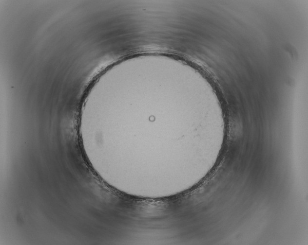 X0000112431314200909251528