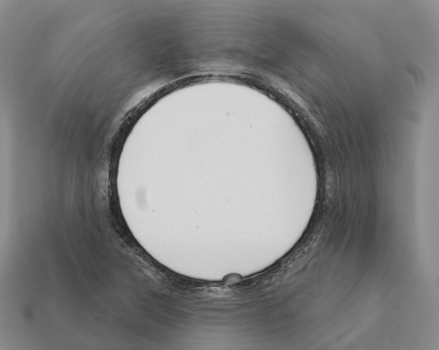 X0000112431315200909251528