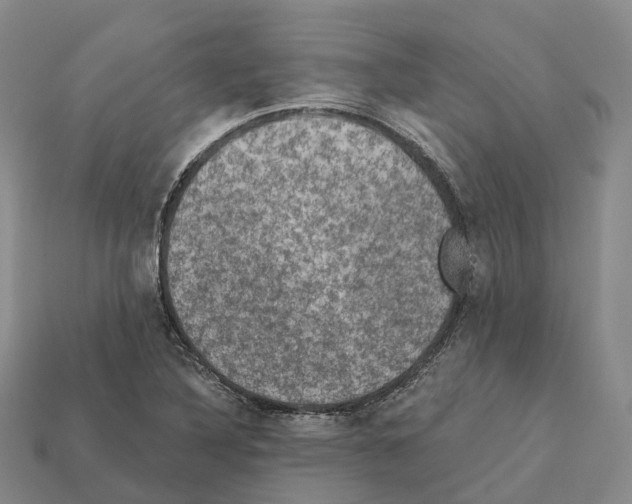 X0000112431316200909251528