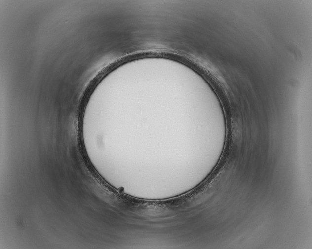 X0000112431318200909251528