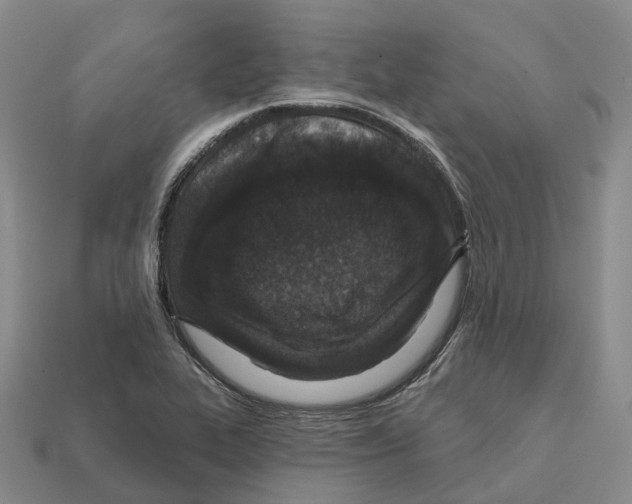 X0000112431319200909251528
