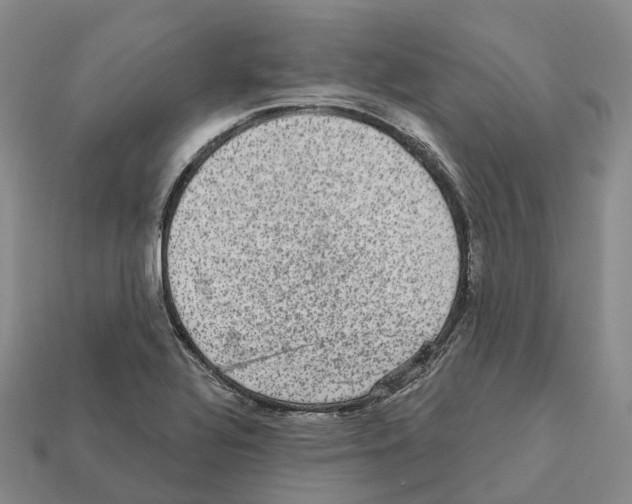 X0000112431320200909251528