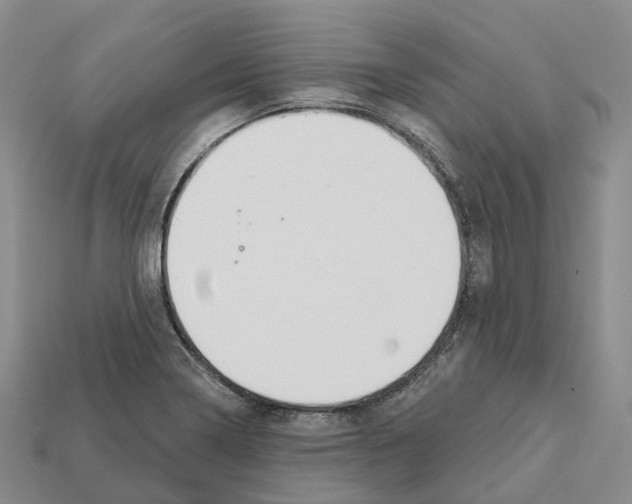 X0000112431322200909251528