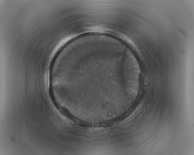 X0000112431323200909251528