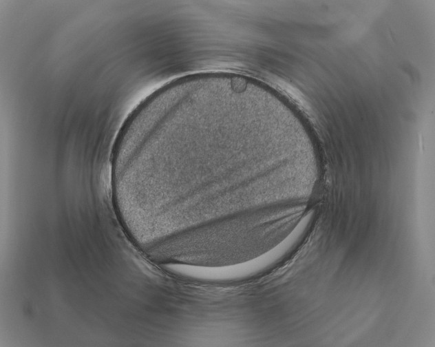 X0000112431324200909251528