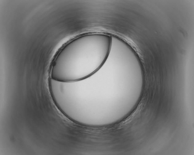 X0000112431326200909251528