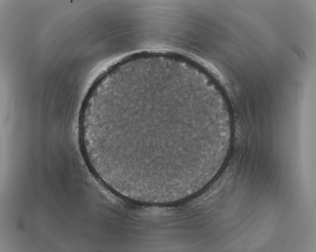 X0000112431327200909251528