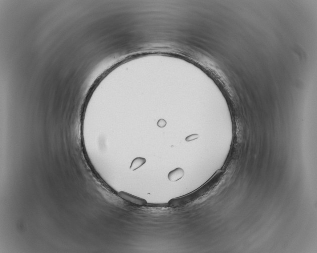 X0000112431328200909251528