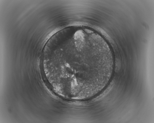 X0000112431329200909251529