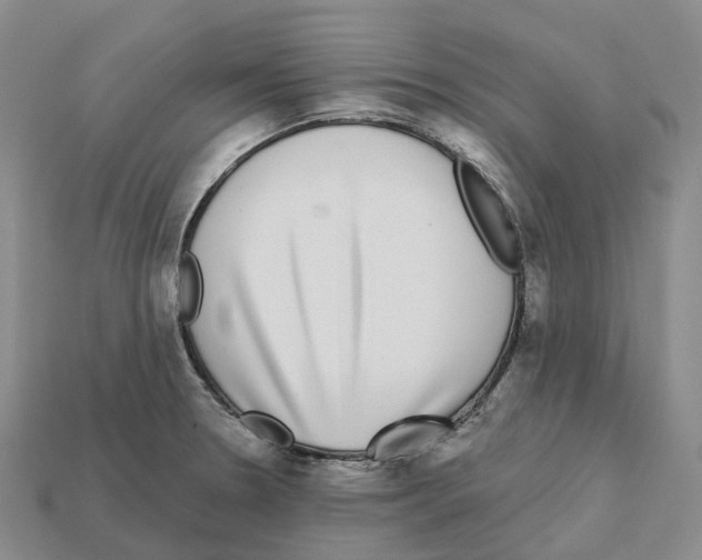 X0000112431330200909251529