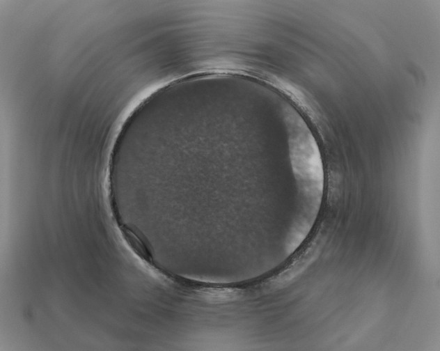 X0000112431331200909251529