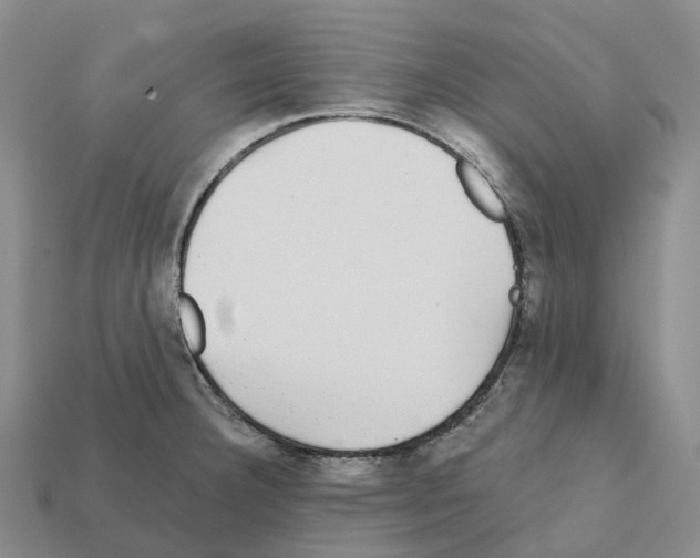 X0000112431332200909251529