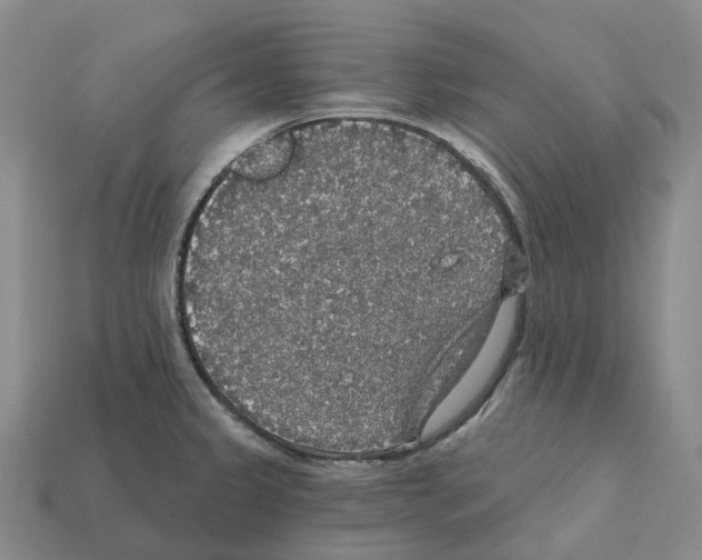 X0000112431333200909251529
