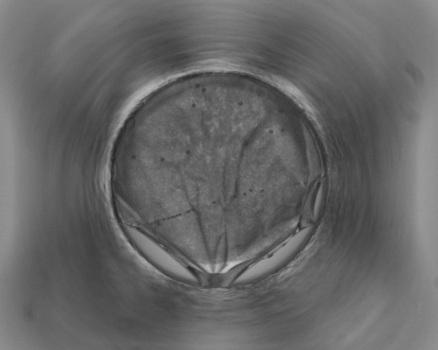 X0000112431334200909251529