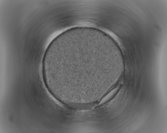 X0000112431335200909251529