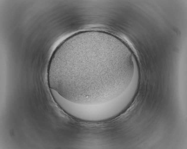 X0000112431336200909251529