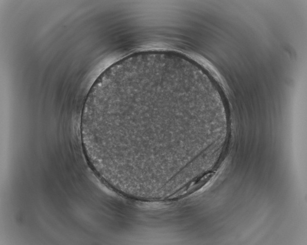 X0000112431337200909251529
