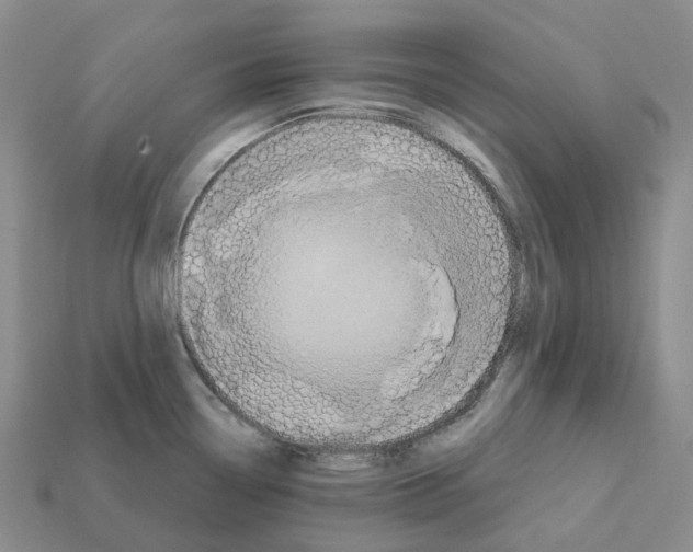 X0000112431338200909251529