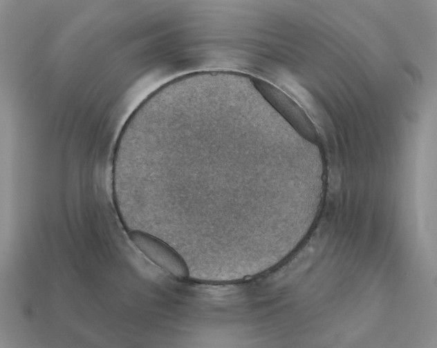 X0000112431340200909251529
