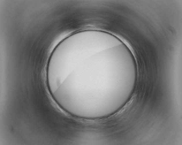 X0000112431341200909251529